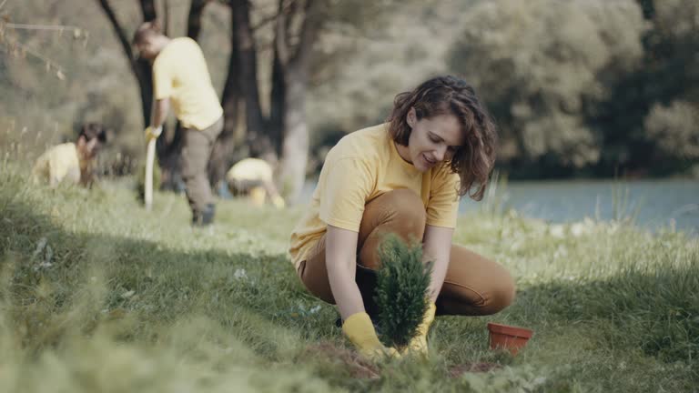 Best Soil Testing and Treatment  in Daisetta, TX